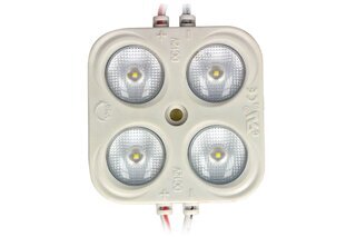 LED modul 1W/12V High Efficiency 15x35 (za obostrane reklame) IP67 6500K3