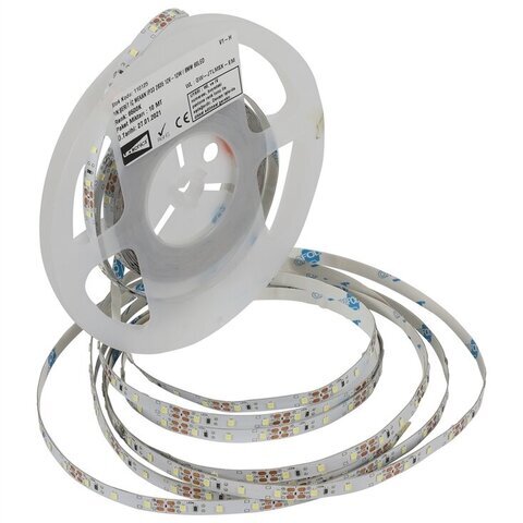 Hexus LED traka 12W 60d/m 6500K1