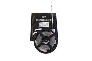 Hexus LED traka 12W 120d/m 6500K3